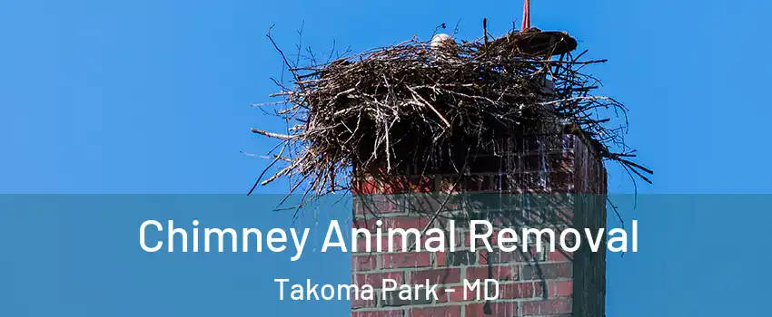  Chimney Animal Removal Takoma Park - MD