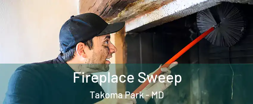  Fireplace Sweep Takoma Park - MD