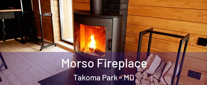  Morso Fireplace Takoma Park - MD