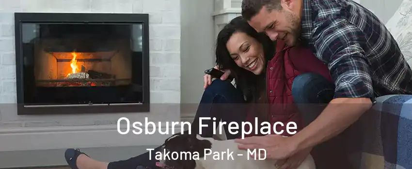  Osburn Fireplace Takoma Park - MD